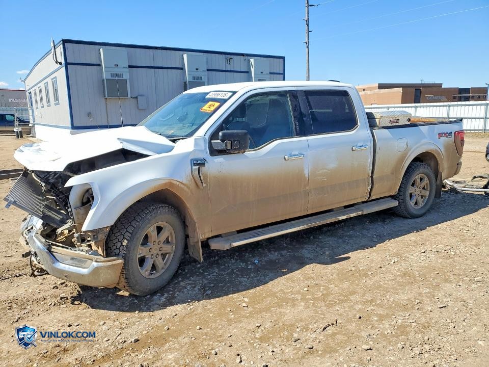 2023 FORD F150 SUPERCREW – Lot 48986196 auction photo