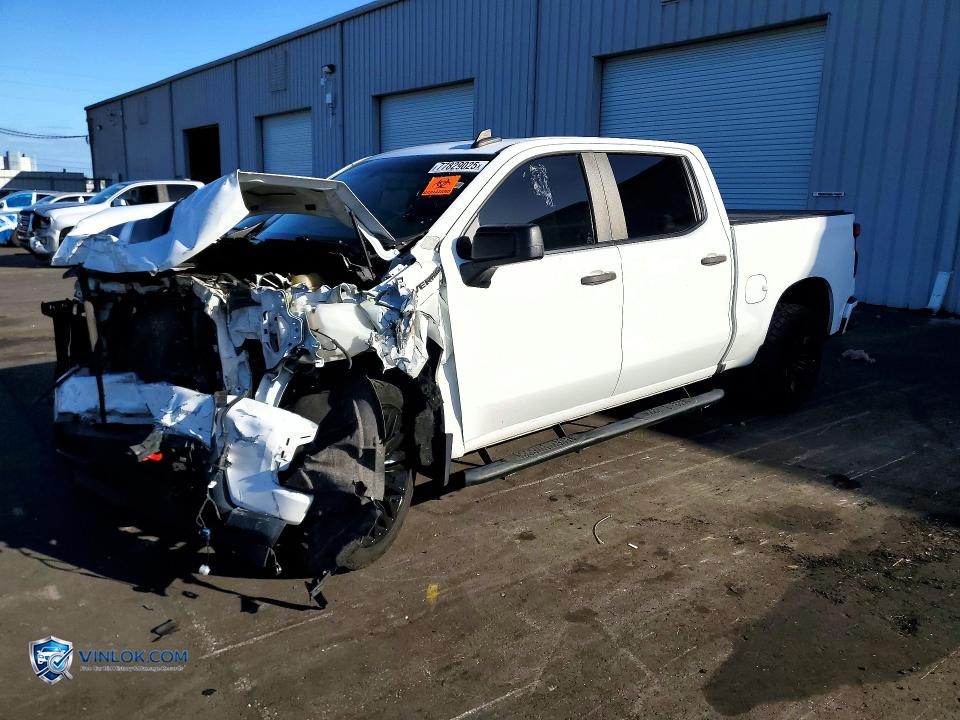 2019 CHEVROLET SILVERADO C1500 CUSTOM – Lot 49032276 auction photo
