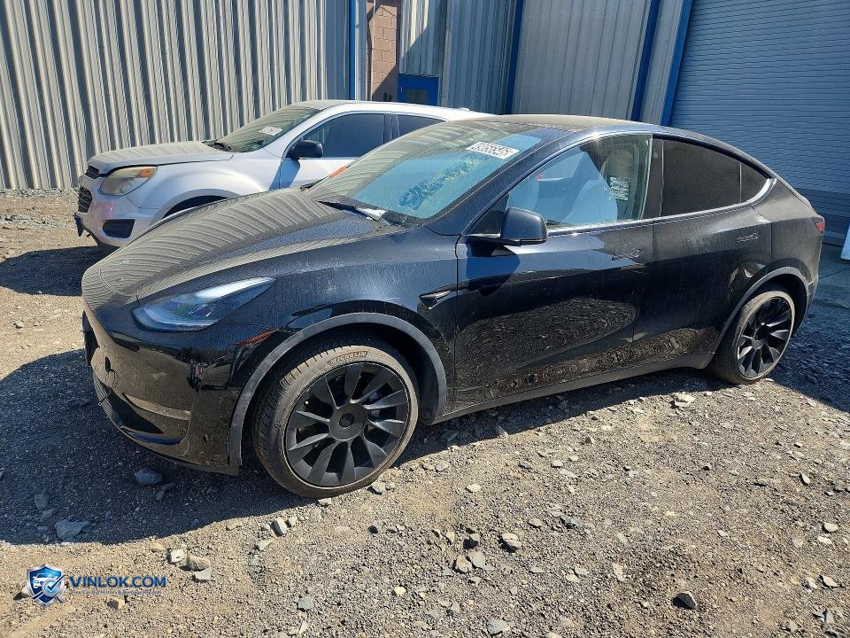 2021 TESLA MODEL Y – Lot 49056546 auction photo