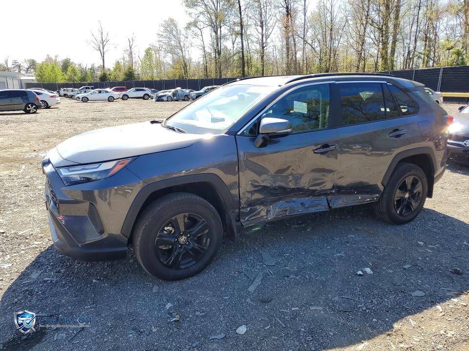 2025 TOYOTA RAV4 XLE – Lot 49066786 auction photo