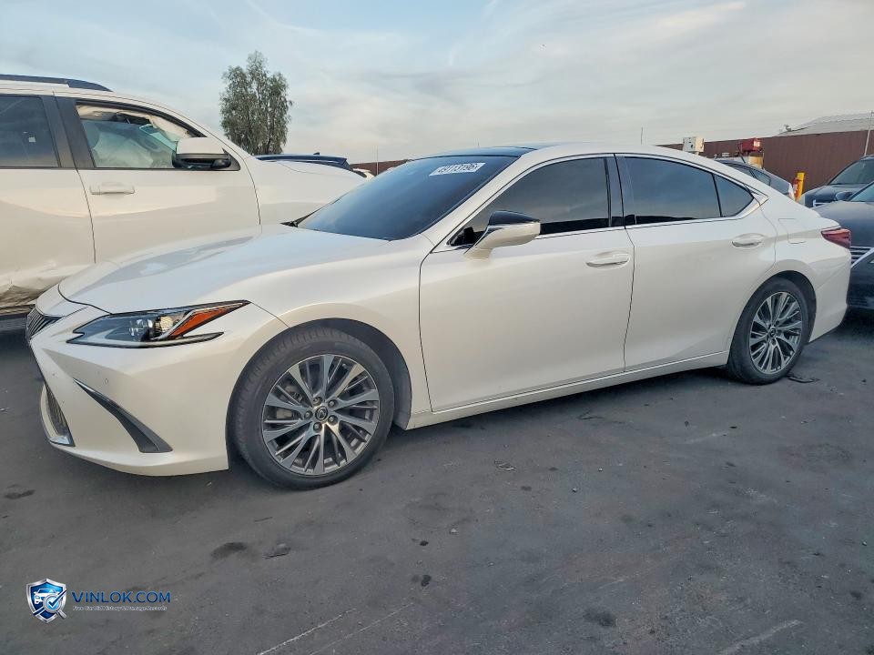 2019 LEXUS ES 350 BASE – Lot 49113196 auction photo