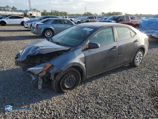 2019 TOYOTA COROLLA LE – Lot 49142056 auction photo