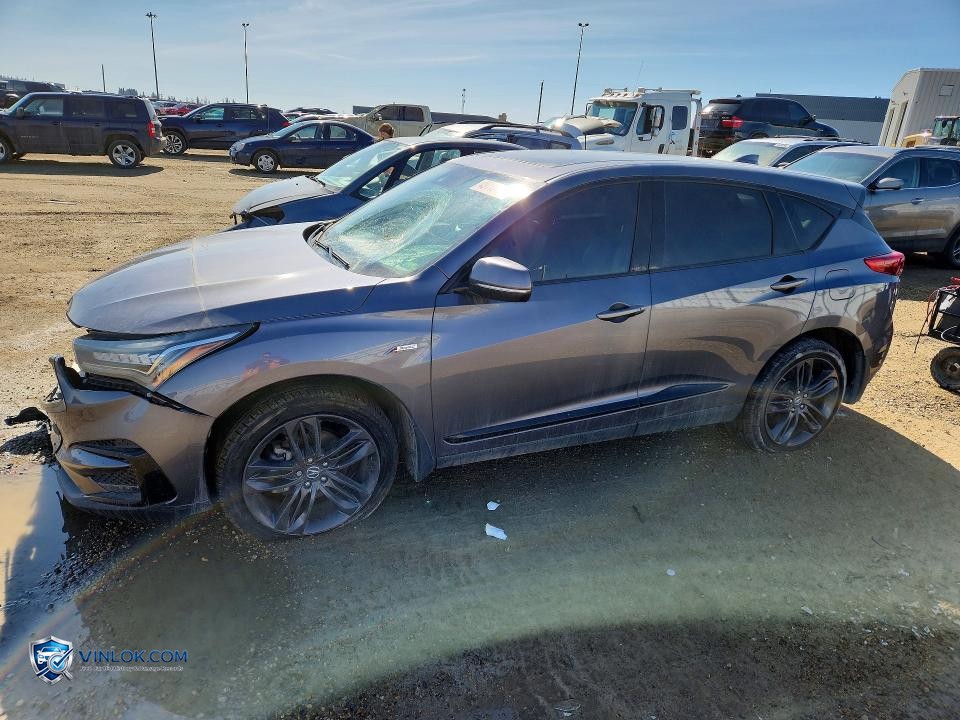 2019 ACURA RDX A-SPEC – Lot 49143726 auction photo