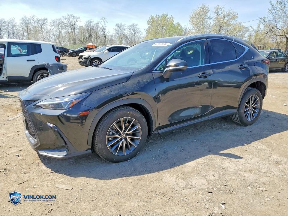 2026 LEXUS NX 350H PREMIUM – Lot 49256506 auction photo