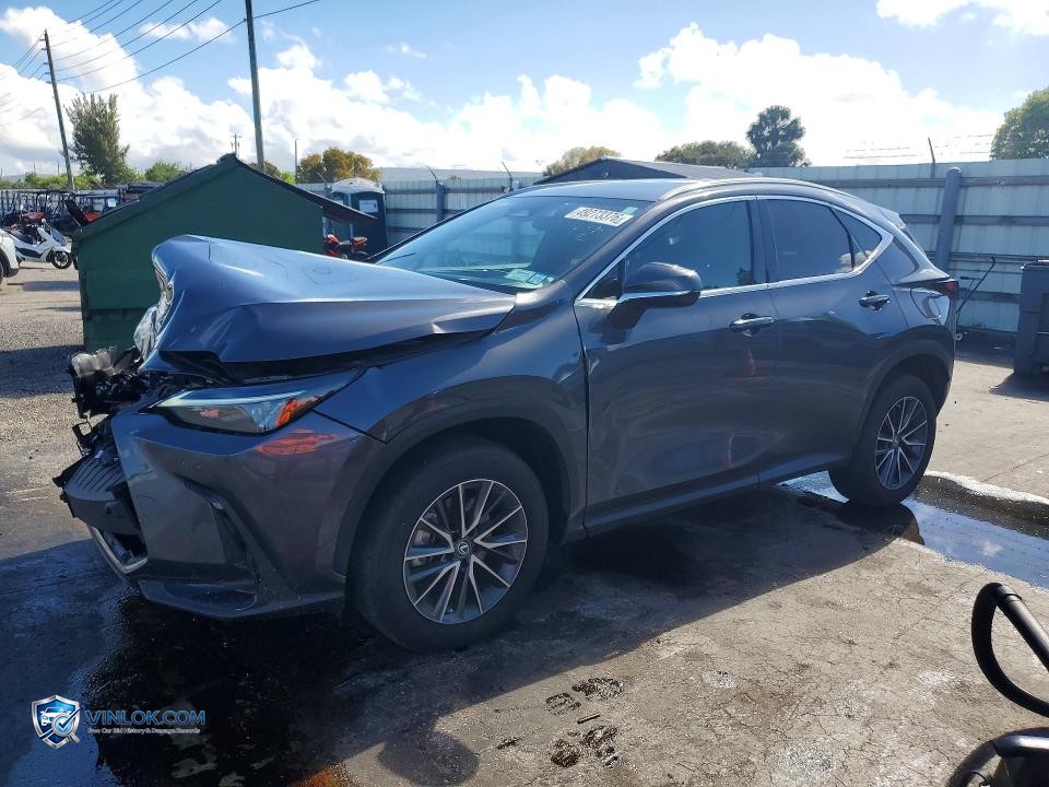 2023 LEXUS NX 350 – Lot 49273376 auction photo