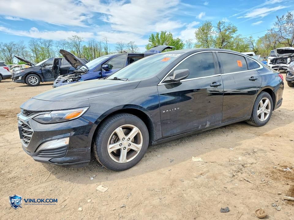 2020 CHEVROLET MALIBU LS – Lot 49276286 auction photo