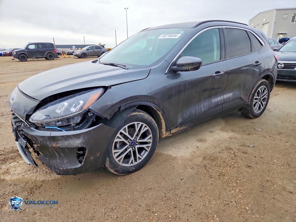 2020 FORD ESCAPE SEL – Lot 49276646 auction photo