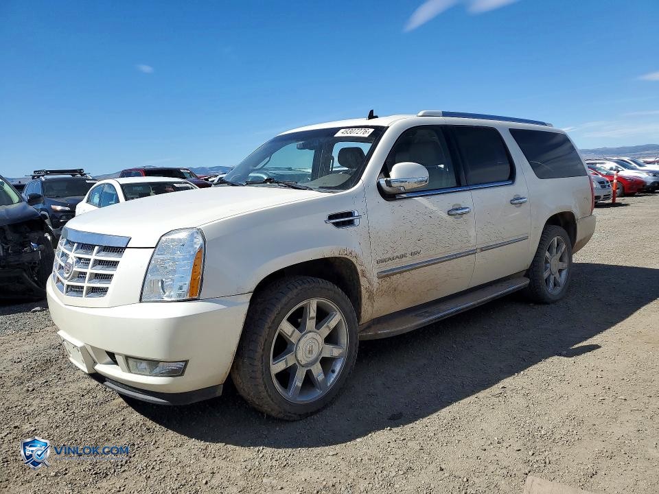 2011 CADILLAC ESCALADE ESV LUXURY – Lot 49307276 auction photo