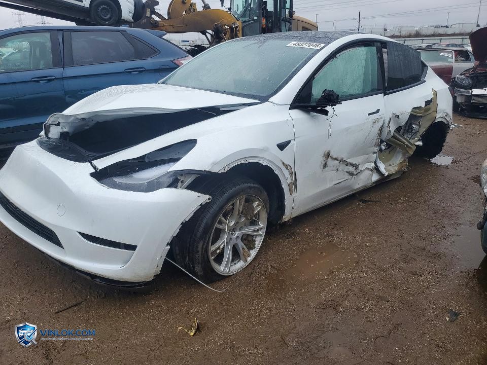 2023 TESLA MODEL Y – Lot 49327046 auction photo