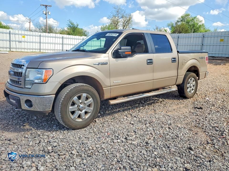 2013 FORD F150 SUPERCREW – Lot 49392316 auction photo