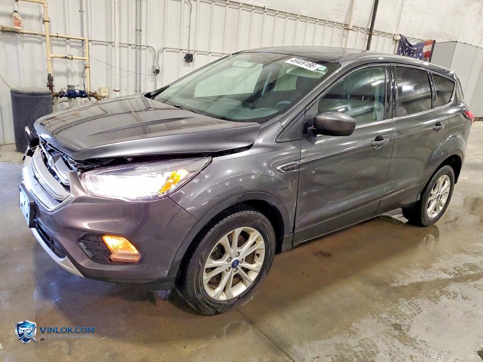 2019 FORD ESCAPE SE – Lot 49409186 auction photo