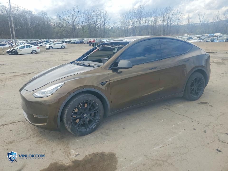 2020 TESLA MODEL Y – Lot 49413036 auction photo