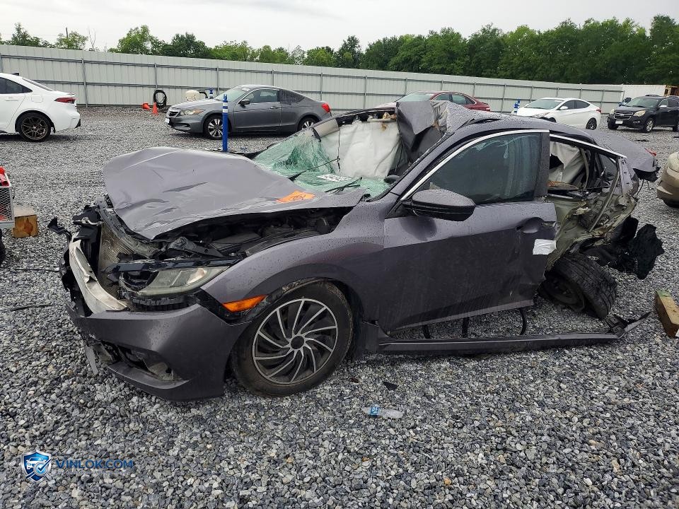 2019 HONDA CIVIC LX – Lot 49434236 auction photo