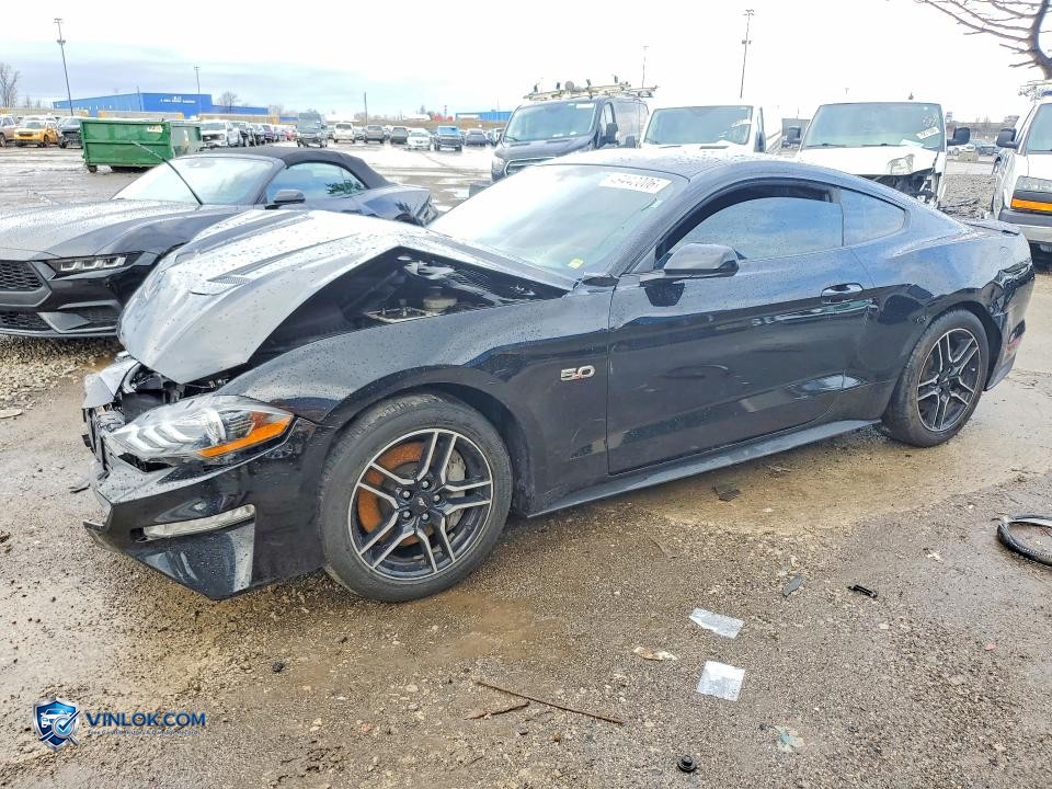 2020 FORD MUSTANG GT – Lot 49440006 auction photo