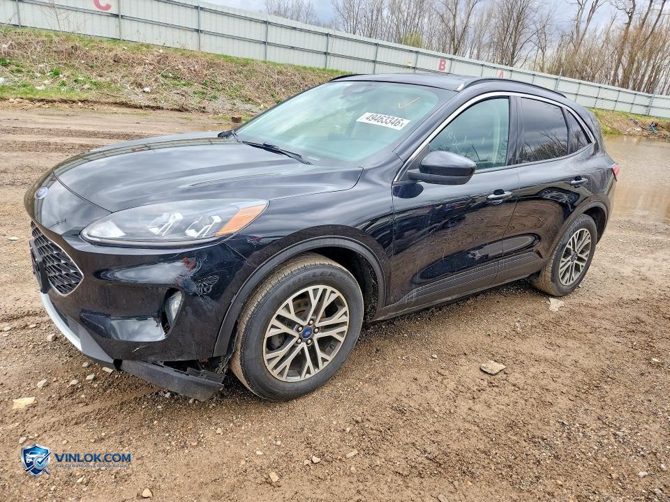 2020 FORD ESCAPE SEL – Lot 49463346 auction photo
