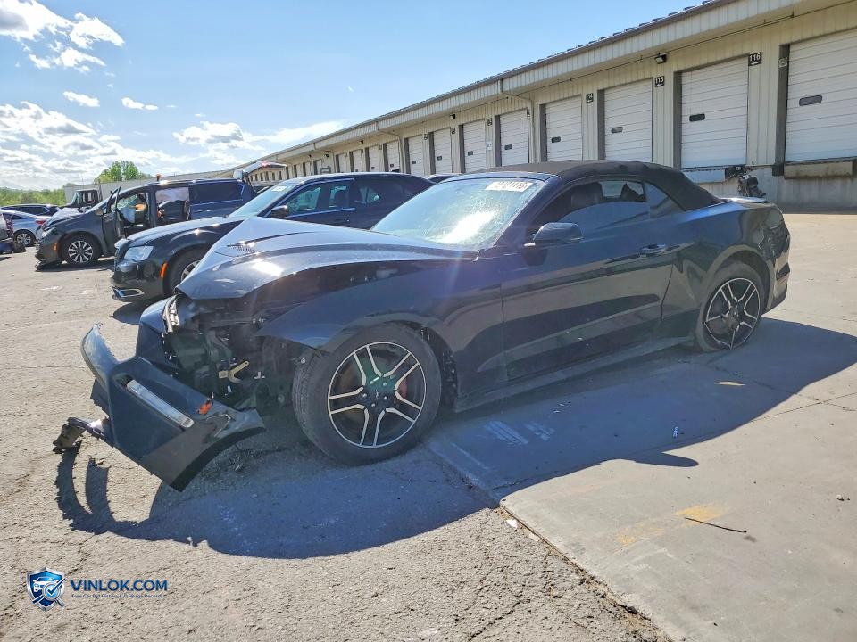 2019 FORD MUSTANG – Lot 49484416 auction photo