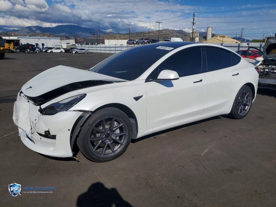 2021 TESLA MODEL 3 – Lot 49498576 auction photo