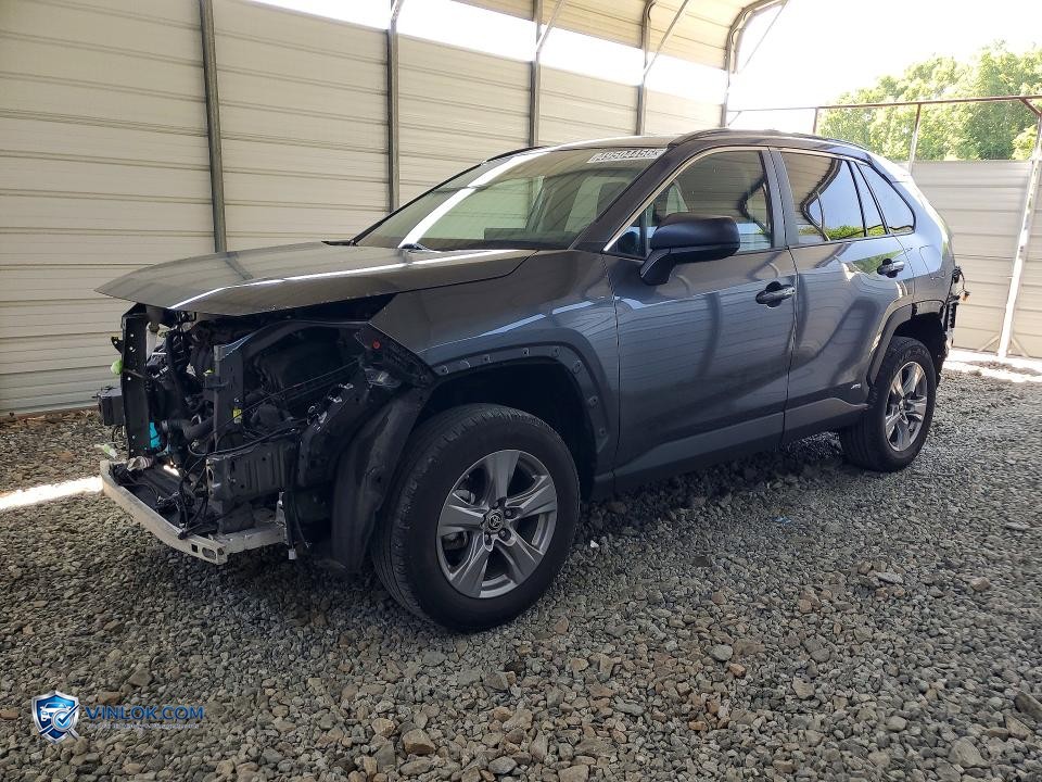 2023 TOYOTA RAV4 LE – Lot 49504456 auction photo