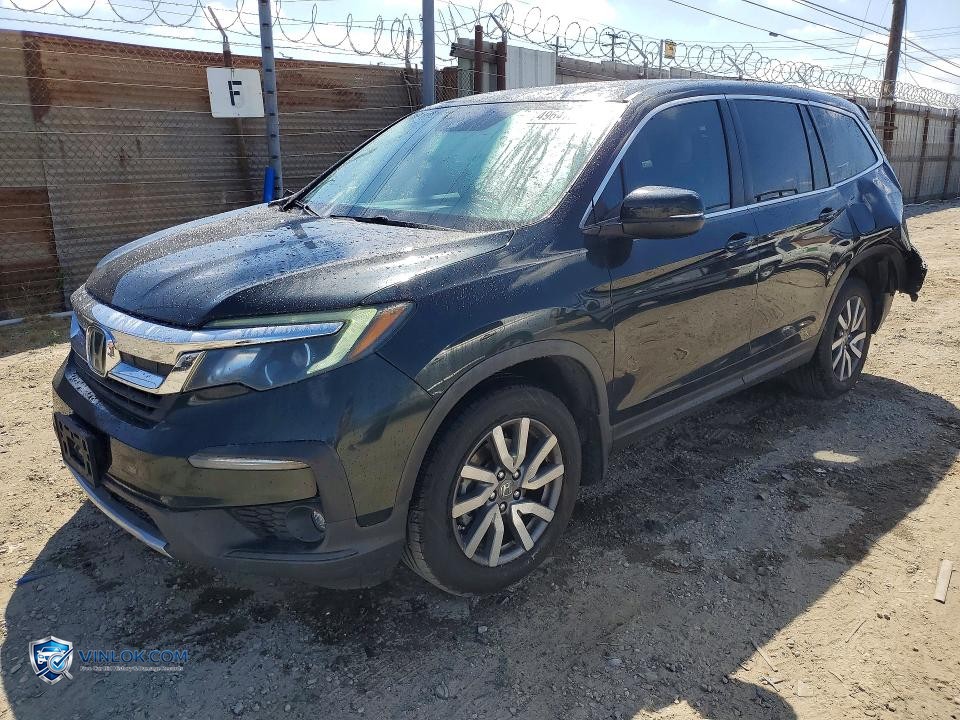 2019 HONDA PILOT EXL – Lot 49647216 auction photo