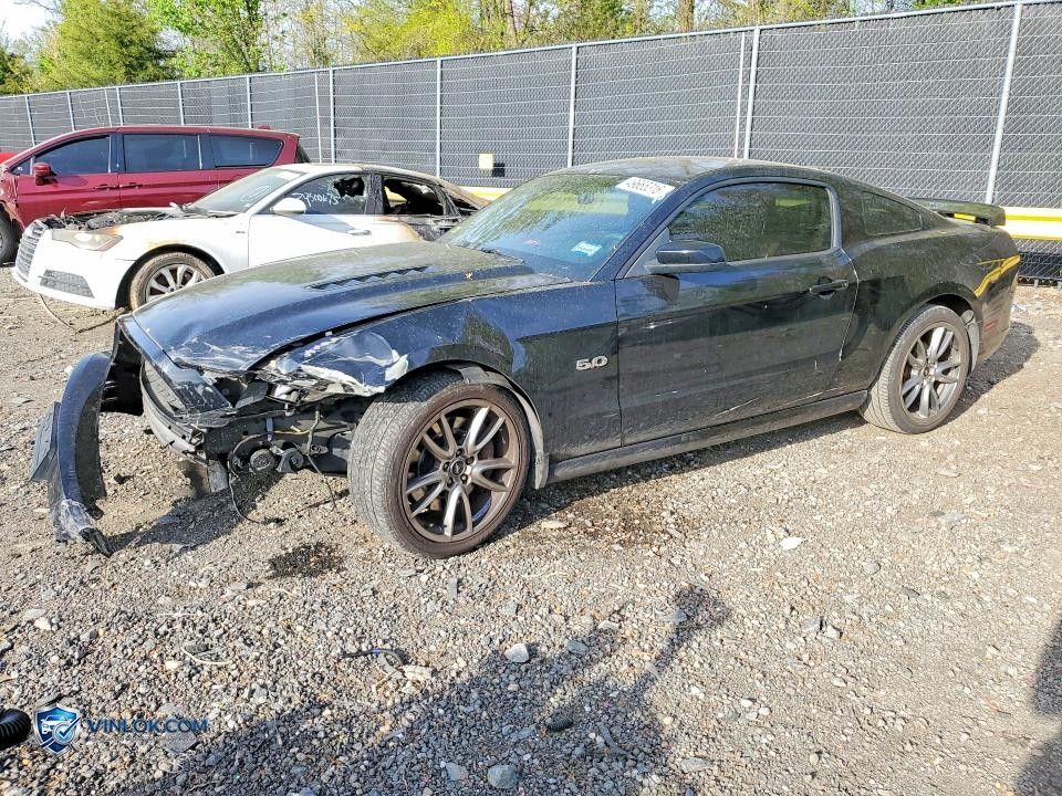 2014 FORD MUSTANG GT – Lot 49665316 auction photo