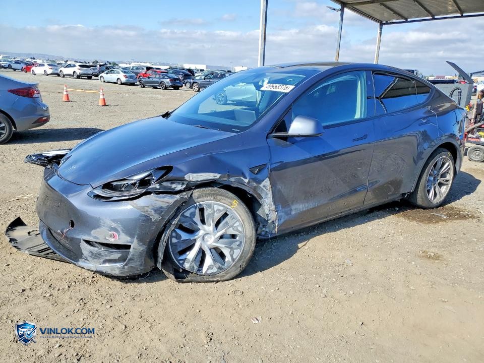 2023 TESLA MODEL Y – Lot 49666576 auction photo