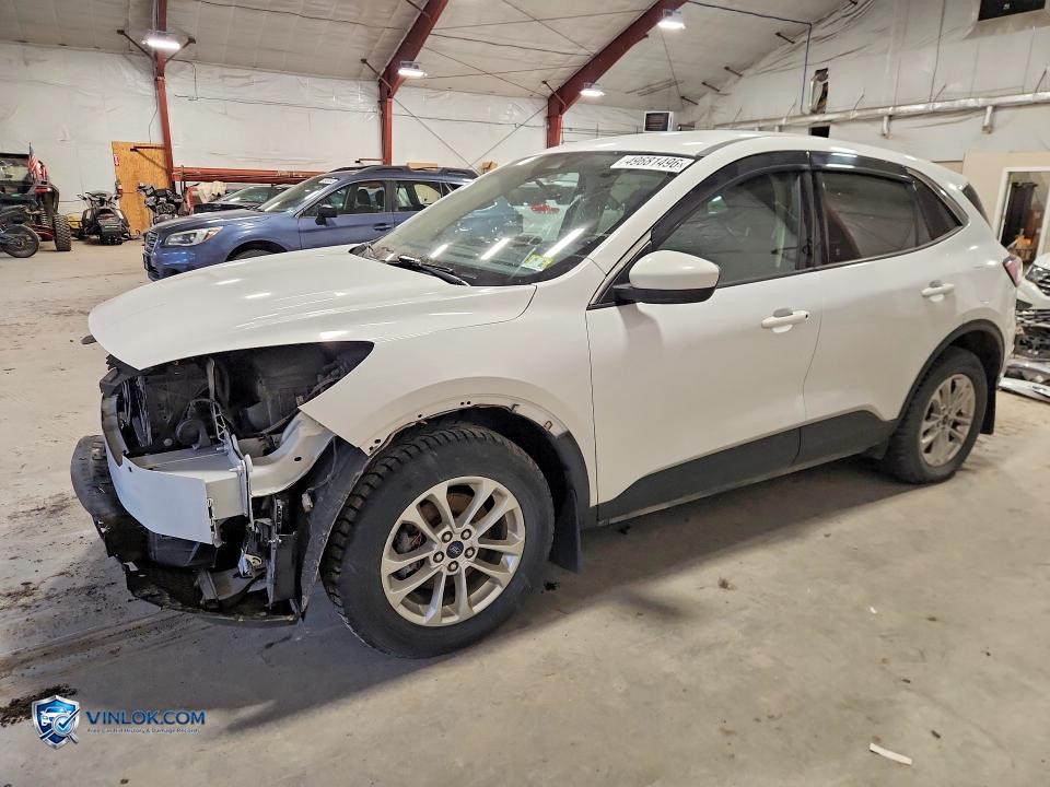 2020 FORD ESCAPE SE – Lot 49681496 auction photo