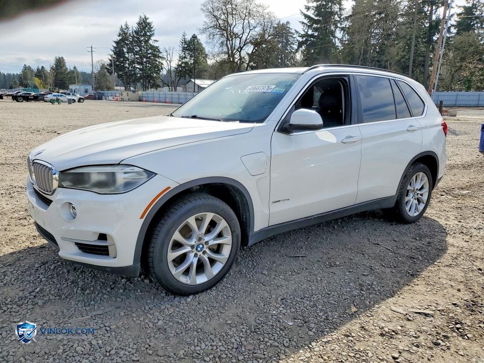 2016 BMW X5 XDR40E – Lot 49687976 auction photo
