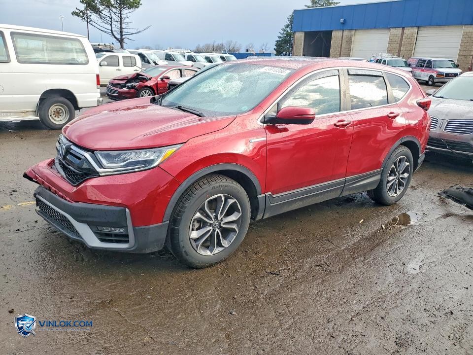 2022 HONDA CR-V EXL – Lot 49910386 auction photo