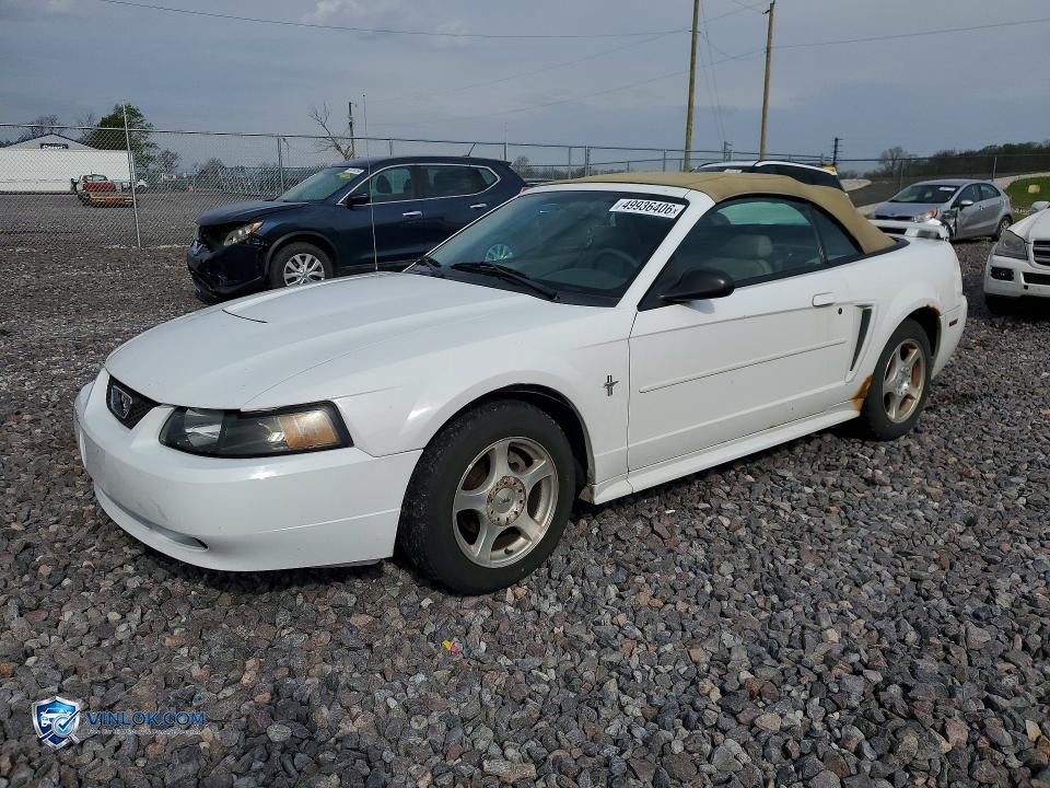 2003 FORD MUSTANG – Lot 49936406 auction photo