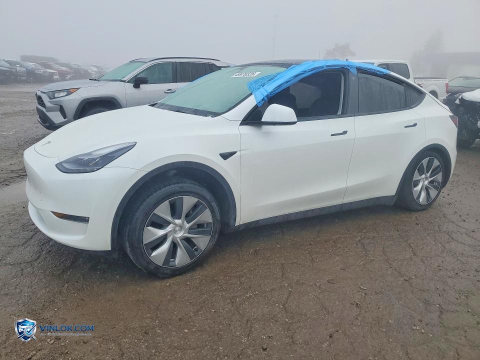 2023 TESLA MODEL Y – Lot 49970326 auction photo