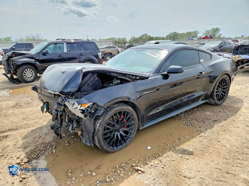 2015 FORD MUSTANG – Lot 50005656 auction photo