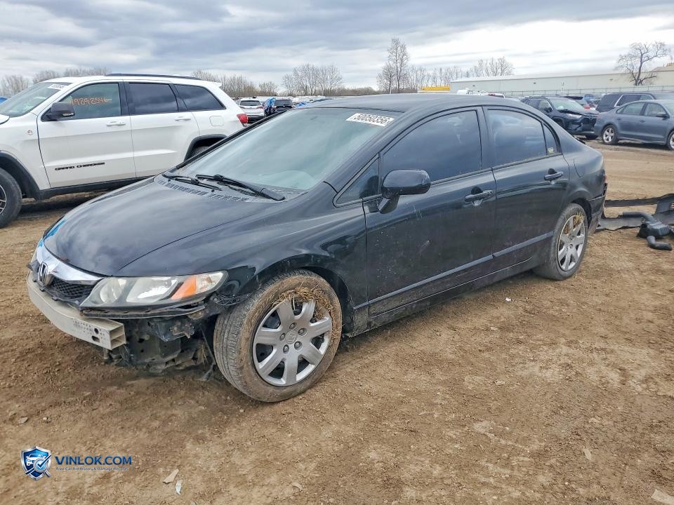 2011 HONDA CIVIC LX – Lot 50050356 auction photo