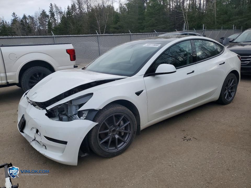 2021 TESLA MODEL 3 – Lot 50077806 auction photo