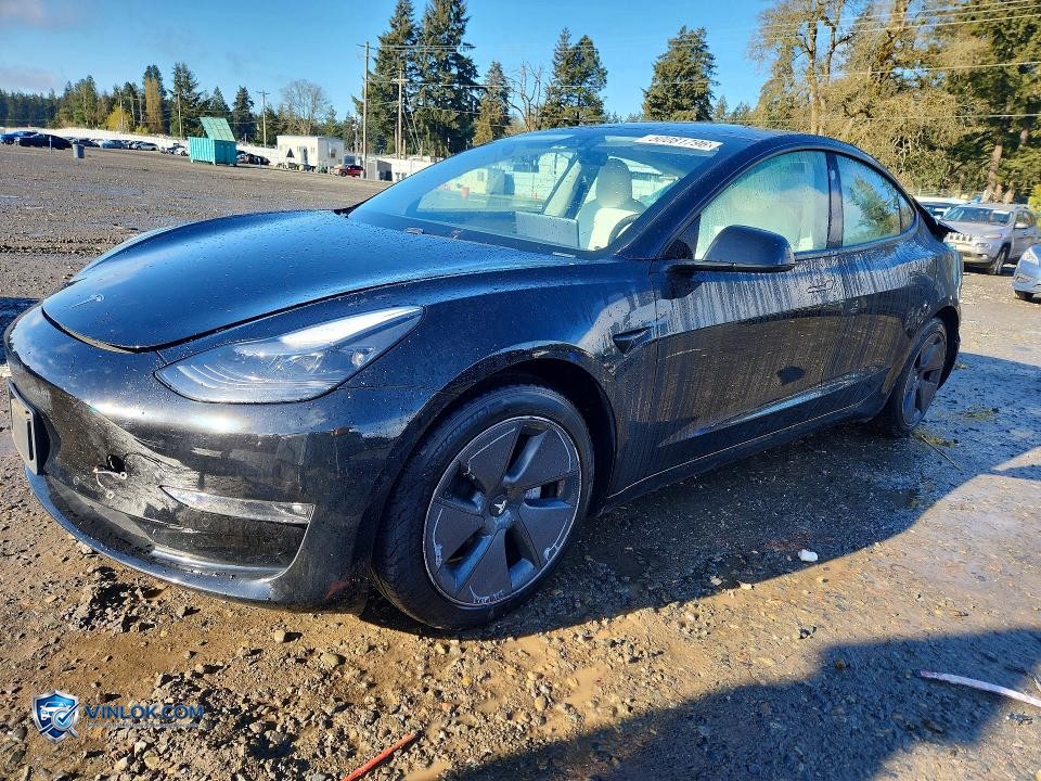 2021 TESLA MODEL 3 – Lot 50081796 auction photo
