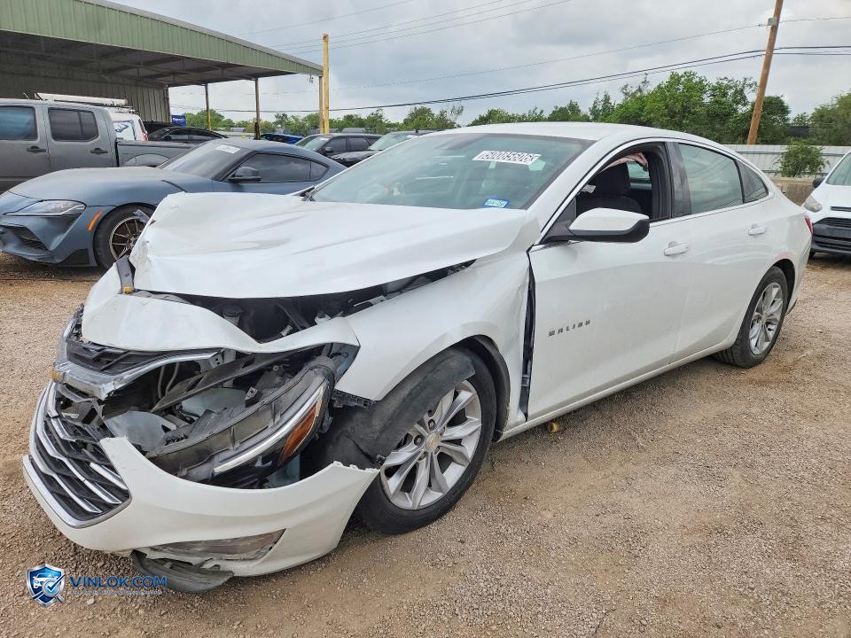 2023 CHEVROLET MALIBU LT – Lot 50085606 auction photo
