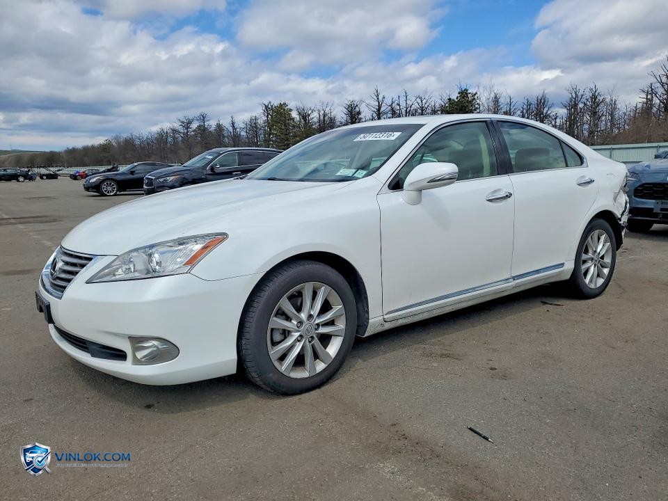 2010 LEXUS ES 350 – Lot 50112316 auction photo