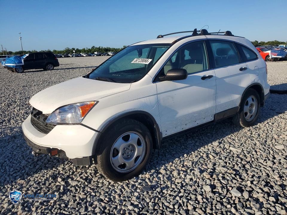 2008 HONDA CR-V LX – Lot 50128866 auction photo
