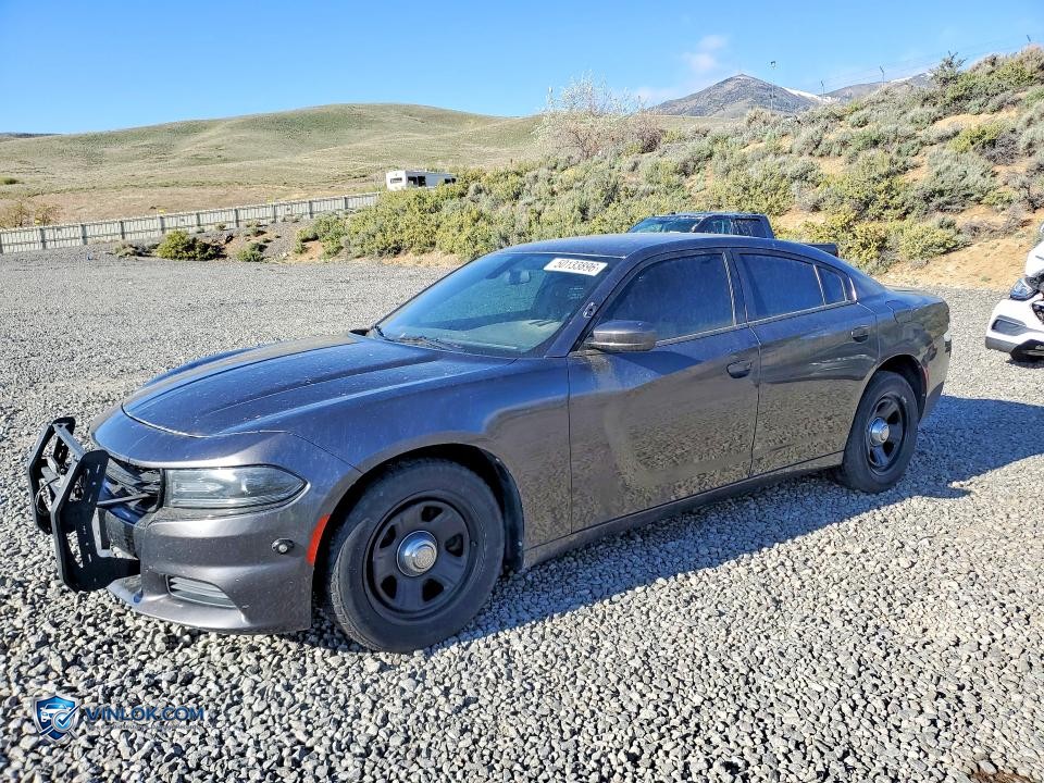 2019 DODGE CHARGER POLICE – Lot 50133896 auction photo