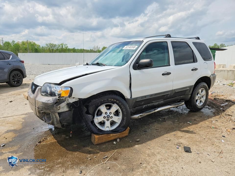 2005 FORD ESCAPE XLT – Lot 50146596 auction photo