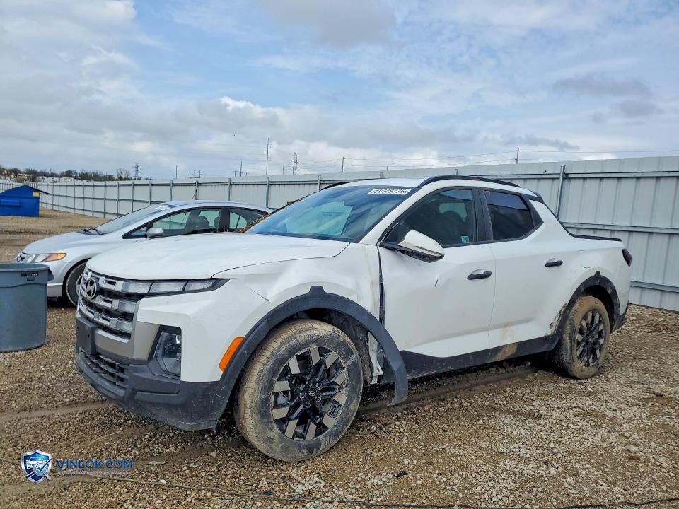 2025 HYUNDAI SANTA CRUZ SEL ACTIVITY – Lot 50149776 auction photo