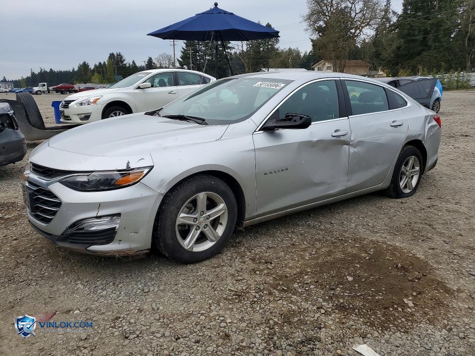2020 CHEVROLET MALIBU LS – Lot 50155896 auction photo