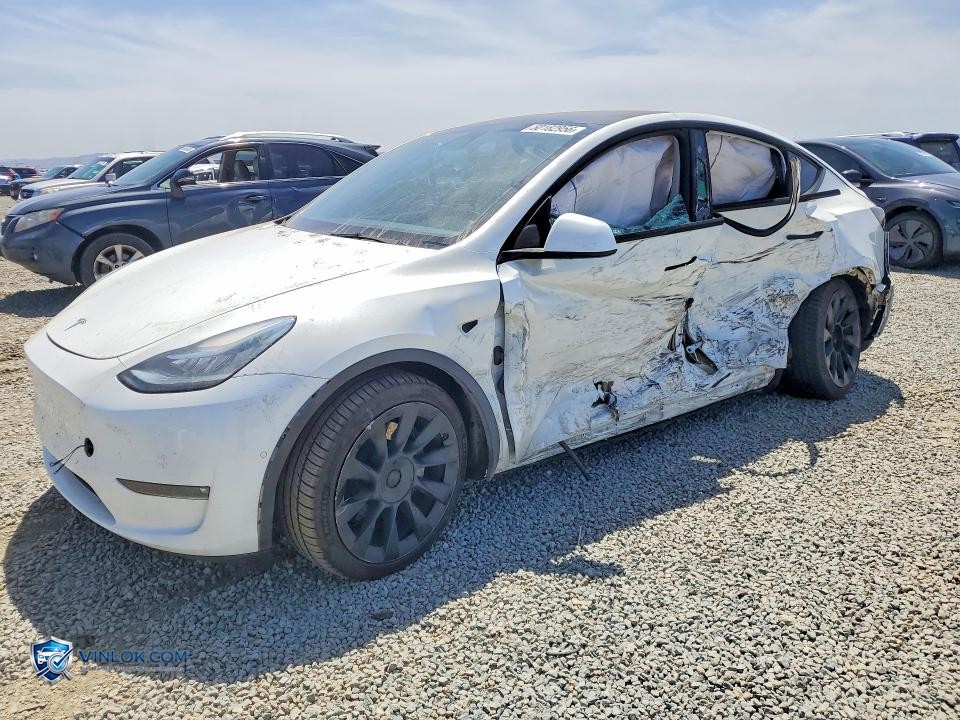 2021 TESLA MODEL Y – Lot 50182956 auction photo