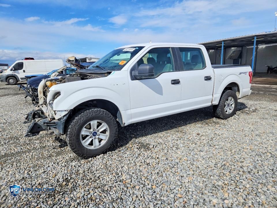 2015 FORD F150 SUPERCREW – Lot 50219546 auction photo