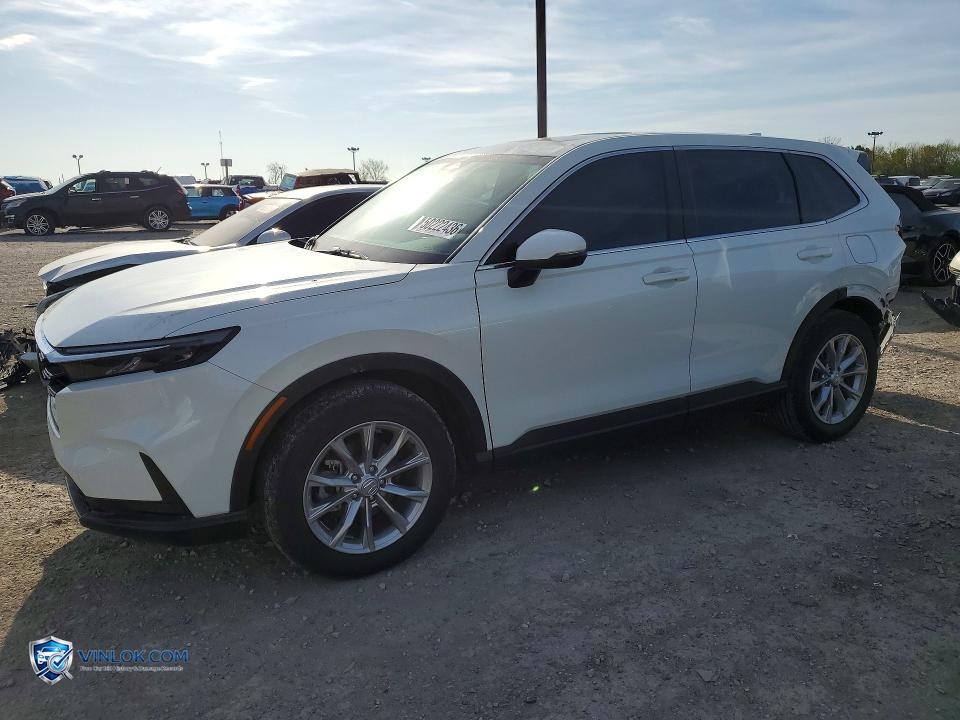 2024 HONDA CR-V EX – Lot 50222436 auction photo