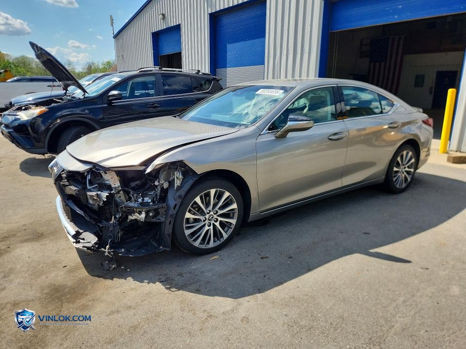 2021 LEXUS ES 250 BASE – Lot 50265696 auction photo