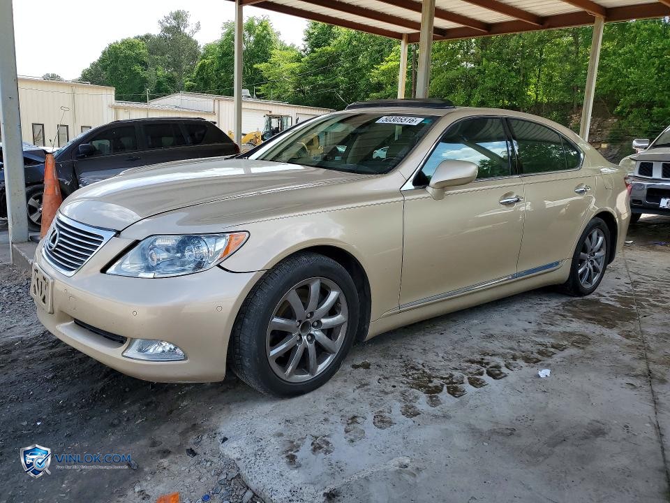 2008 LEXUS LS 460 – Lot 50305516 auction photo