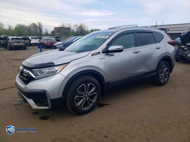 2020 HONDA CR-V EXL – Lot 50351556 auction photo