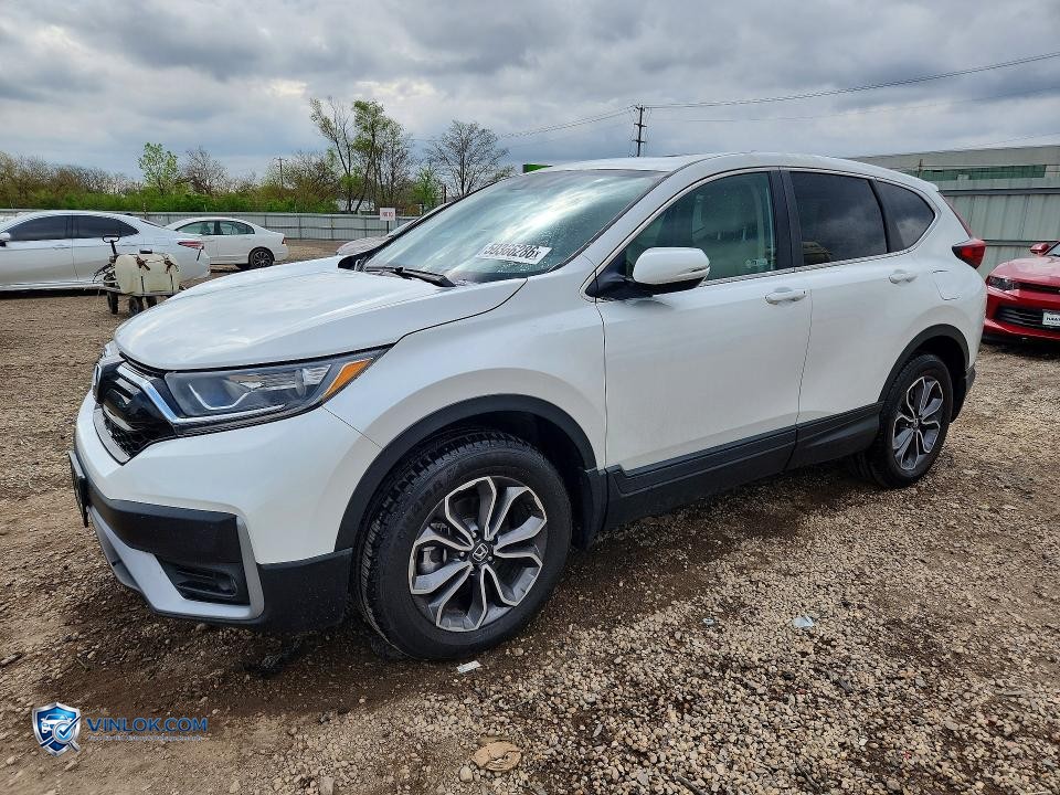 2021 HONDA CR-V EXL – Lot 50366286 auction photo
