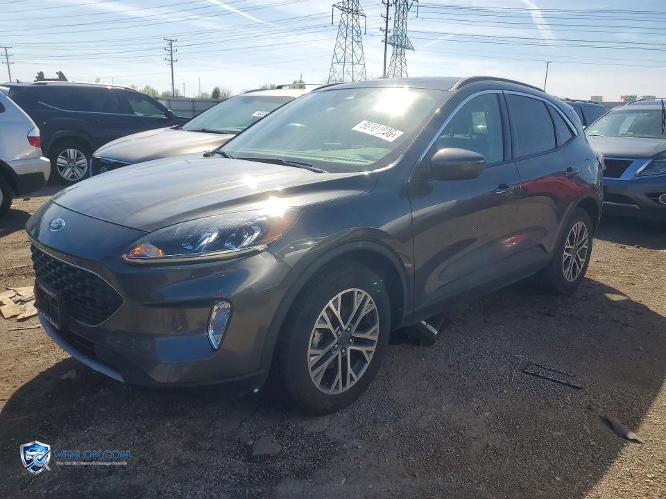 2020 FORD ESCAPE SEL – Lot 50401006 auction photo