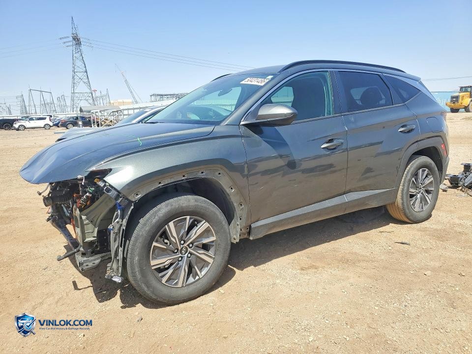 2024 HYUNDAI TUCSON BLUE – Lot 50431486 auction photo